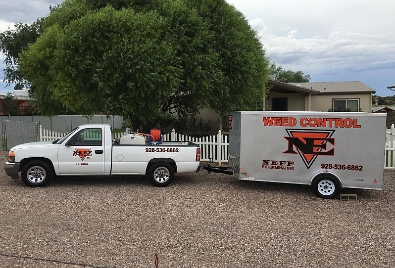 Why Your Business Needs a Commercial Pest Control Plan Before the Spring Rush