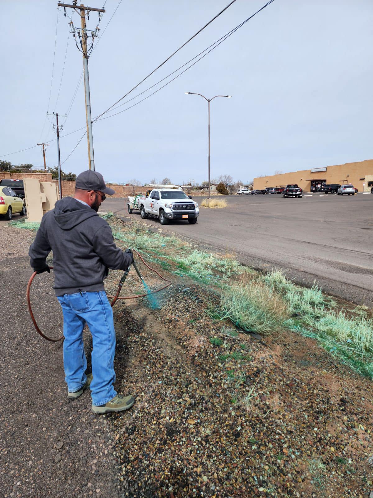 Why Winter Is the Perfect Time to Plan Your Weed Control Strategy