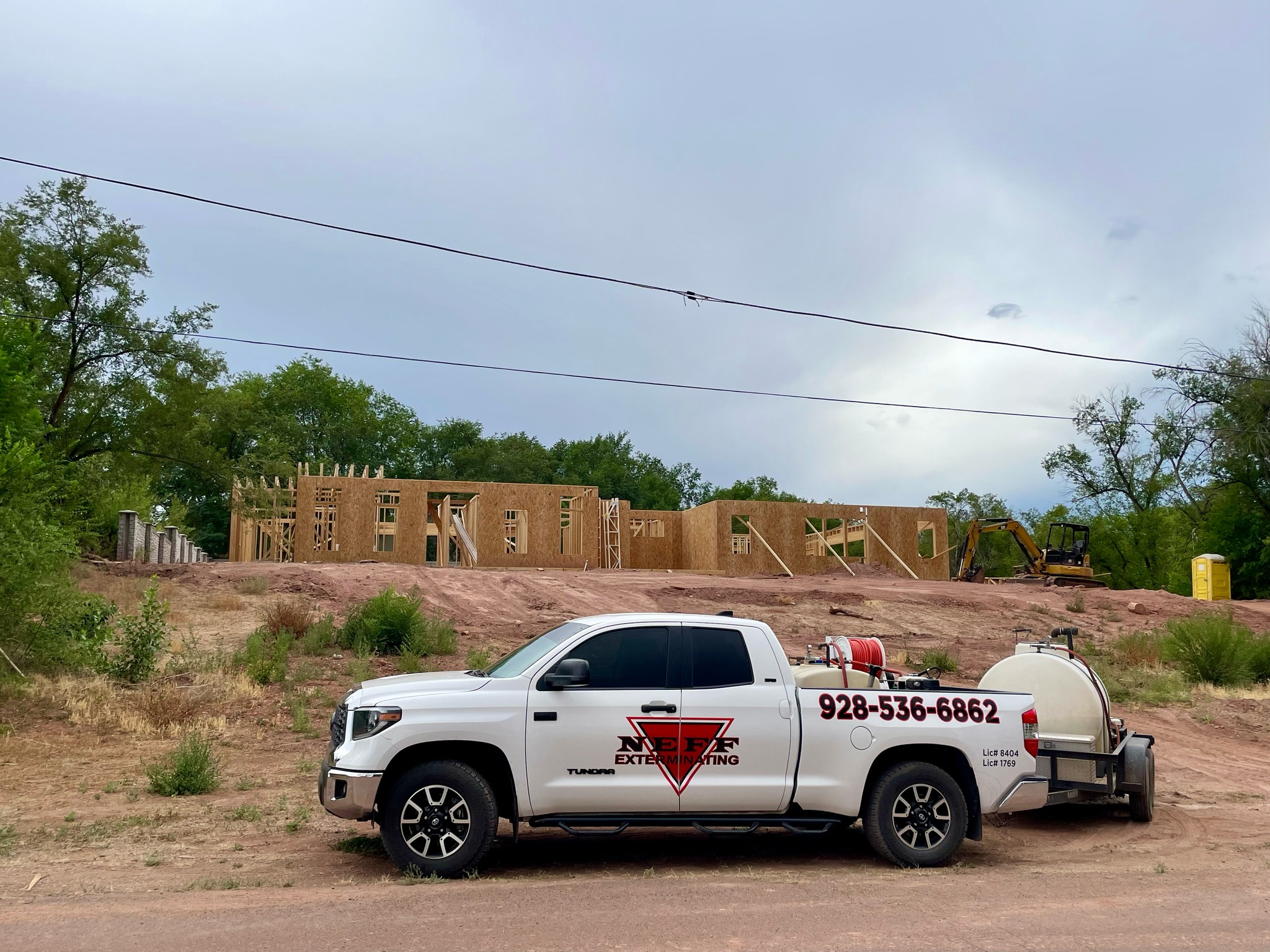 The Ultimate Guide to Preventing Termite Damage in White Mountains, AZ Homes