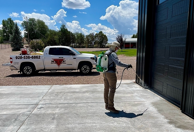 The Connection Between Warmer Weather and Increased Rodent Activity