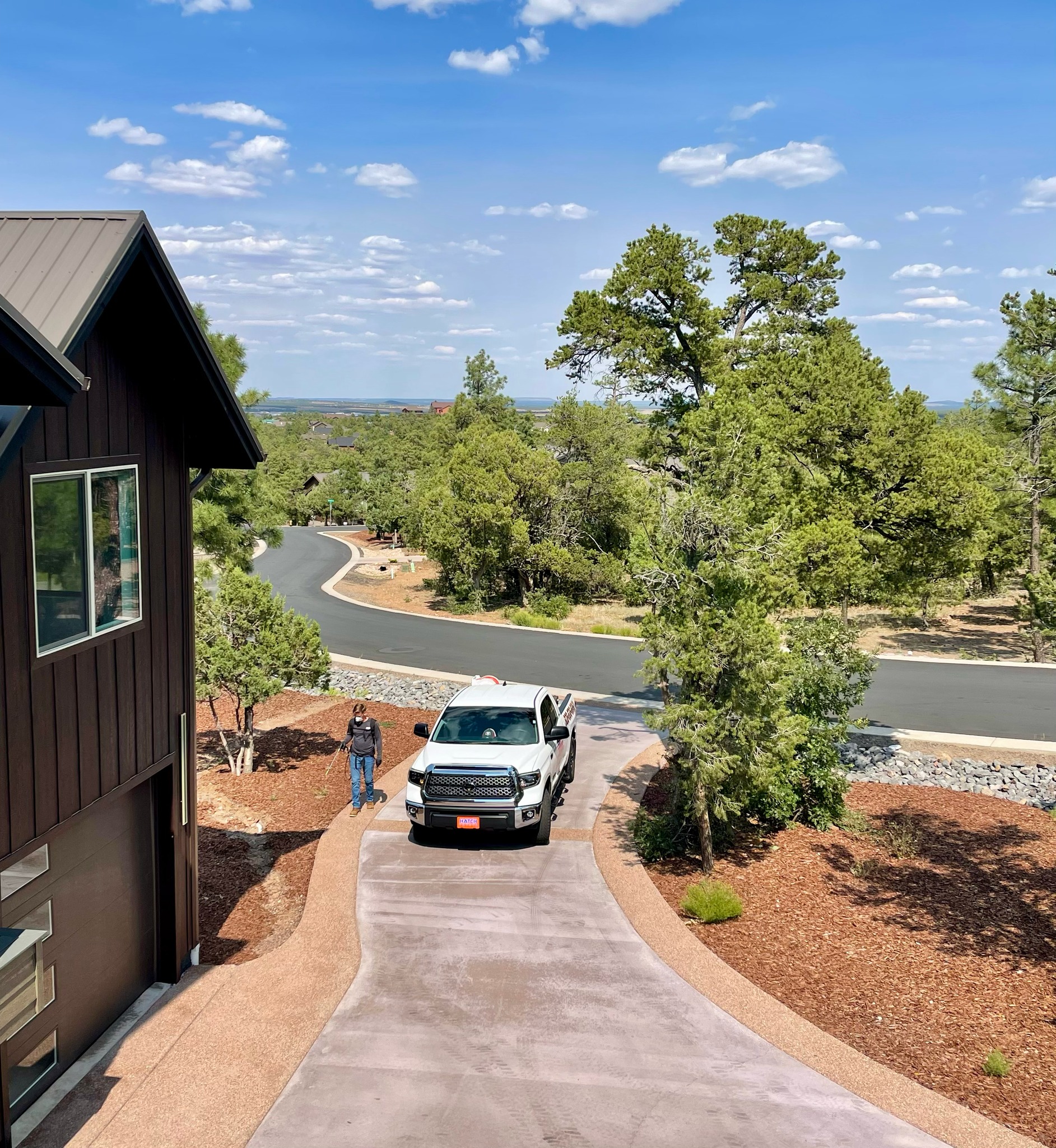 Termite-Proofing Your Home: Steps to Take Before Spring Arrives