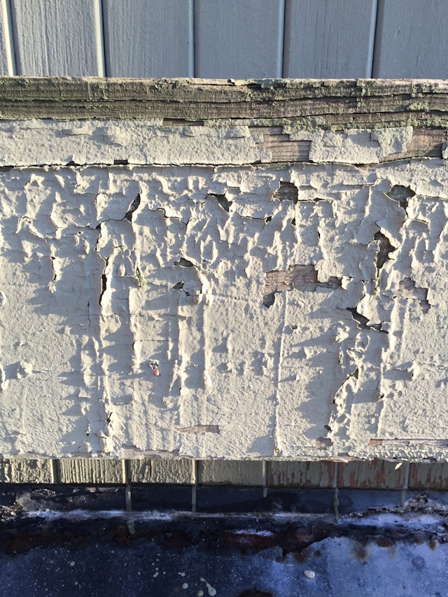 How Termite Pre-Treat Services Can Save You Thousands in Future Repairs