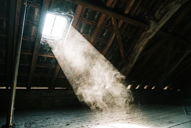 Is That Noise in the Attic? How Rodents Invade Homes in Summer Months Too