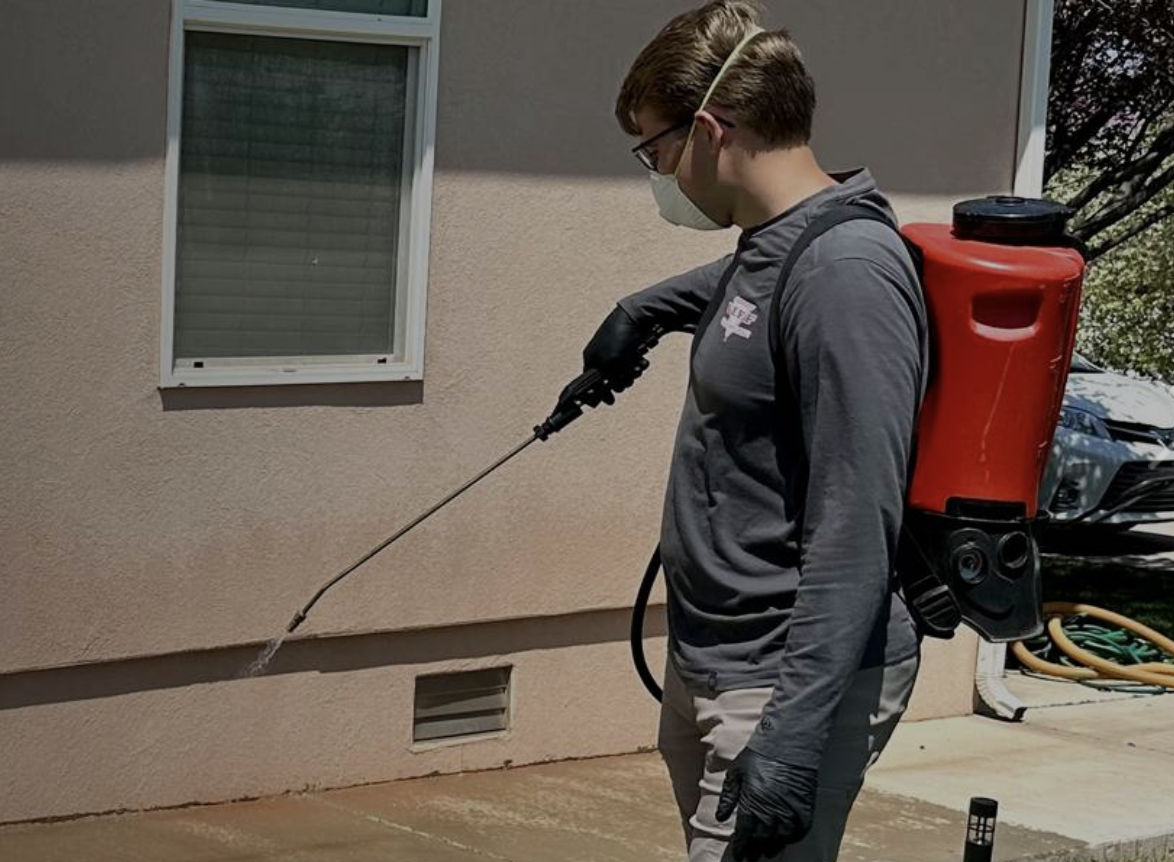 Why Year-Round Pest Control Matters Even in Winter in Arizona