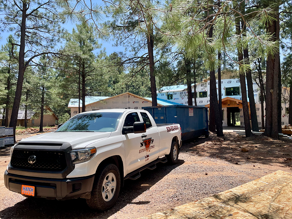 Why Fall is the Best Time for Termite Inspections in Taylor, AZ