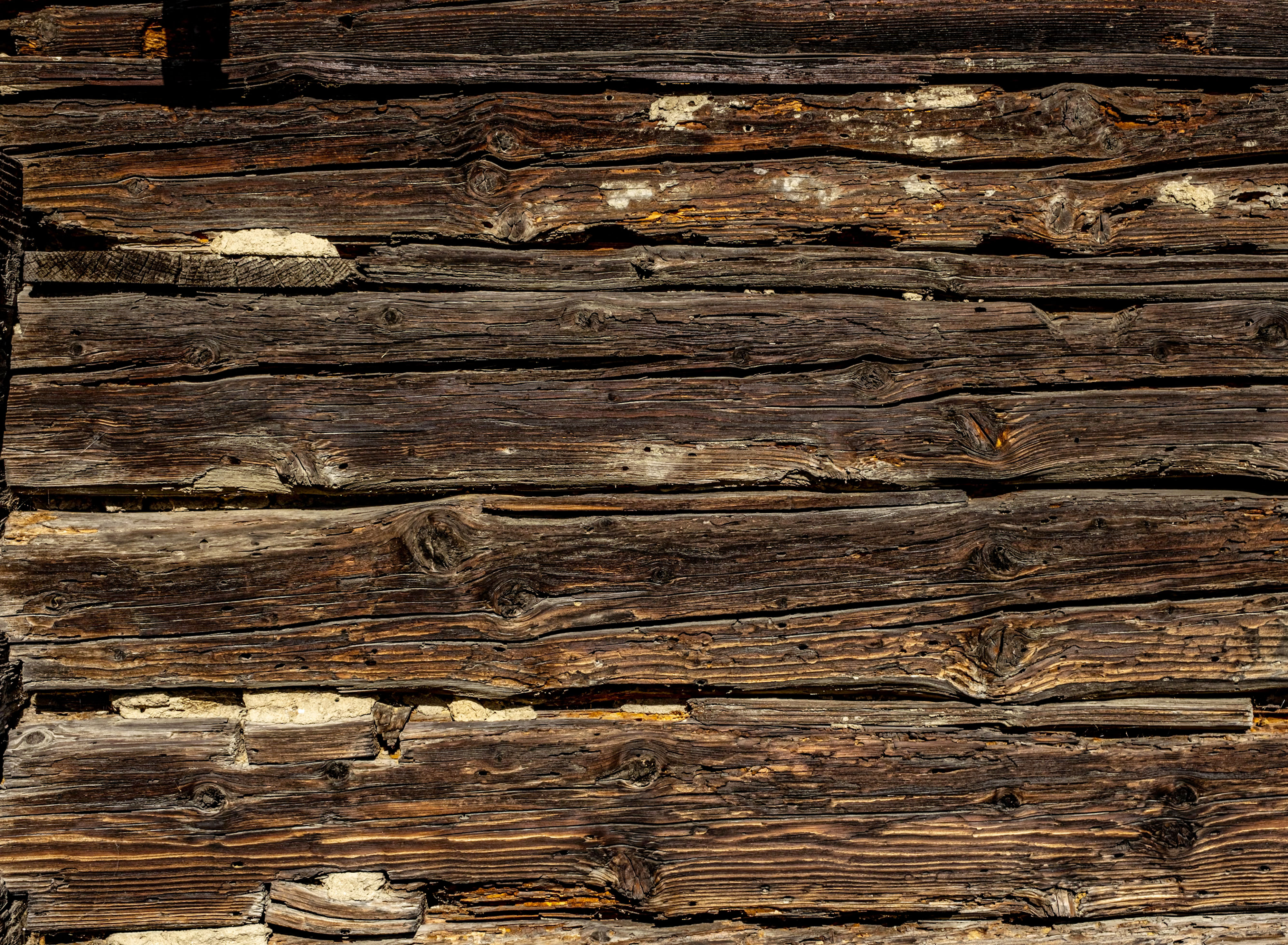 Protect Your Home from Termites: Expert Tips and Local Solutions