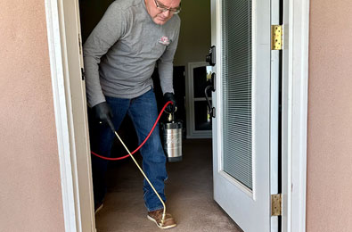 Termite & Insect Control