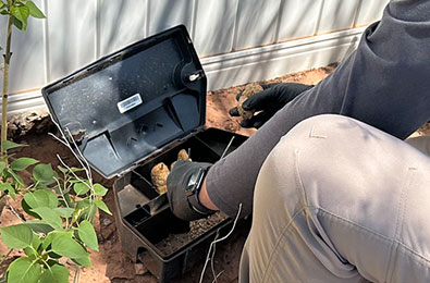 Pest & Rodent Control