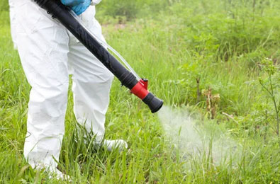 Weed Control Services